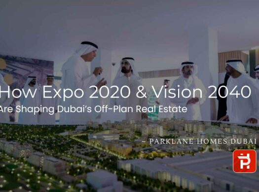 Expo 2020 & Vision 2040