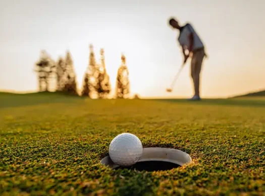 Golf Acres at Emaar South | 1 – 3 BR Apartment & Townhouse